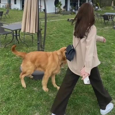 邂逅